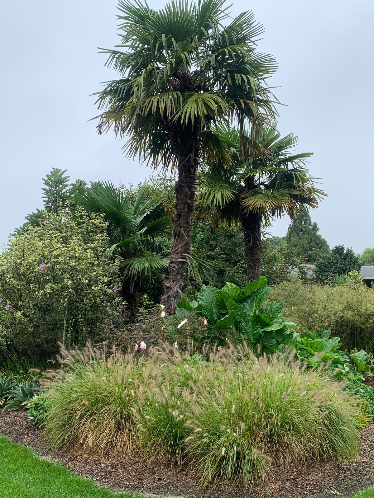 Avent's Private Garden Tour