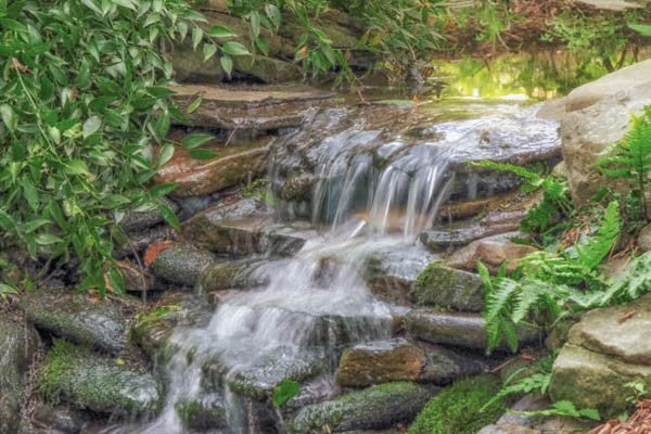 Mindfulness – What, How, and Why