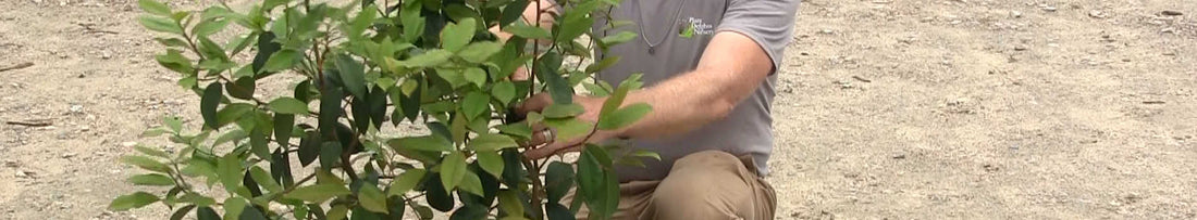 Gardening Unplugged - Moving Plants (Do's and Don'ts)