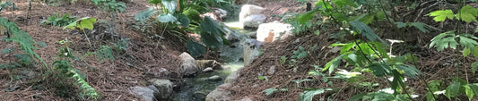 Gardening Unplugged - Gardening With Water