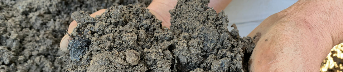 Soils and Garden Soil Preparation