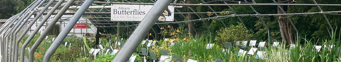 Where to Buy Plants