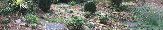 Gardening Unplugged - Winter Bones