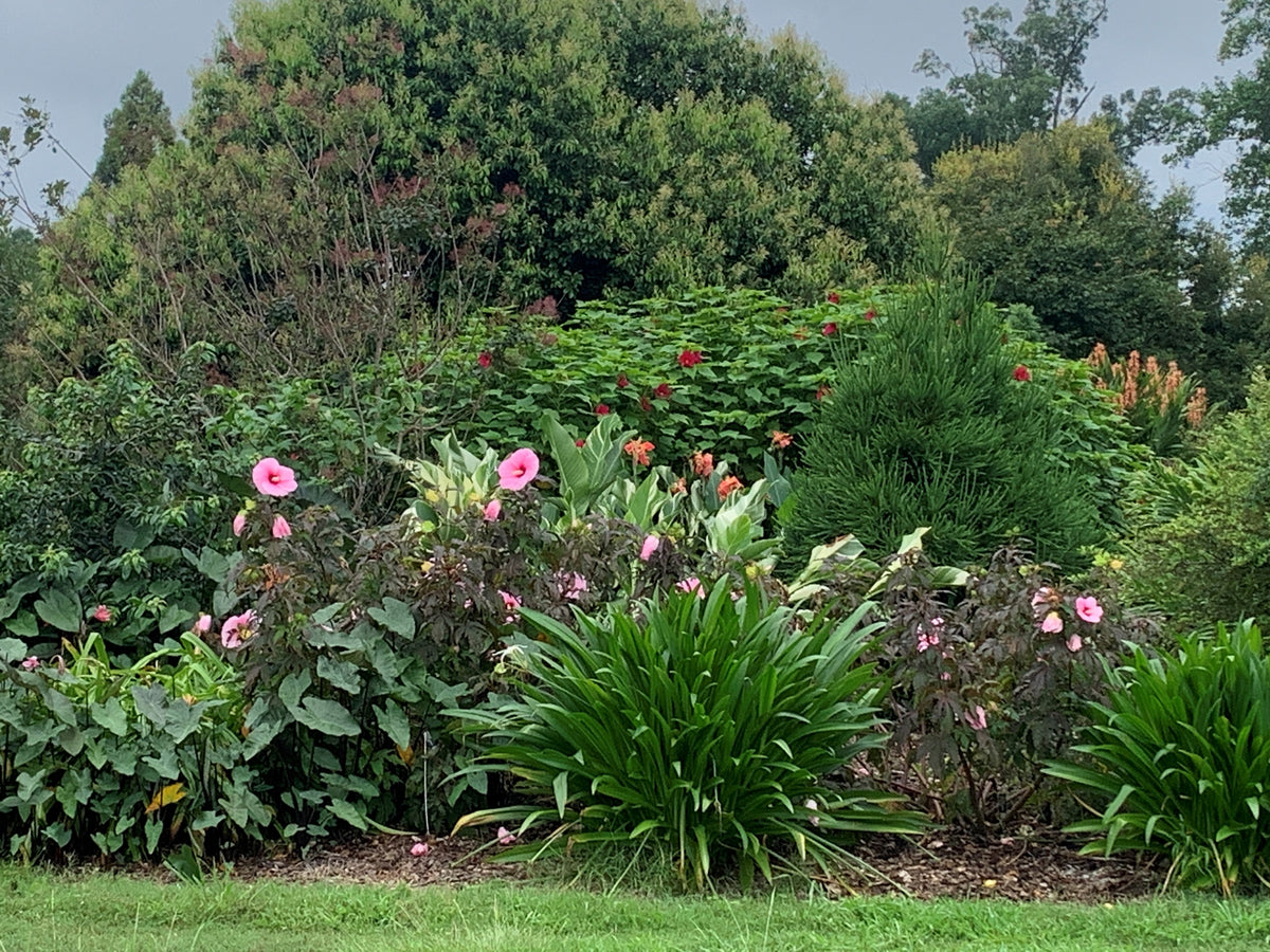 Monthly Garden Tour